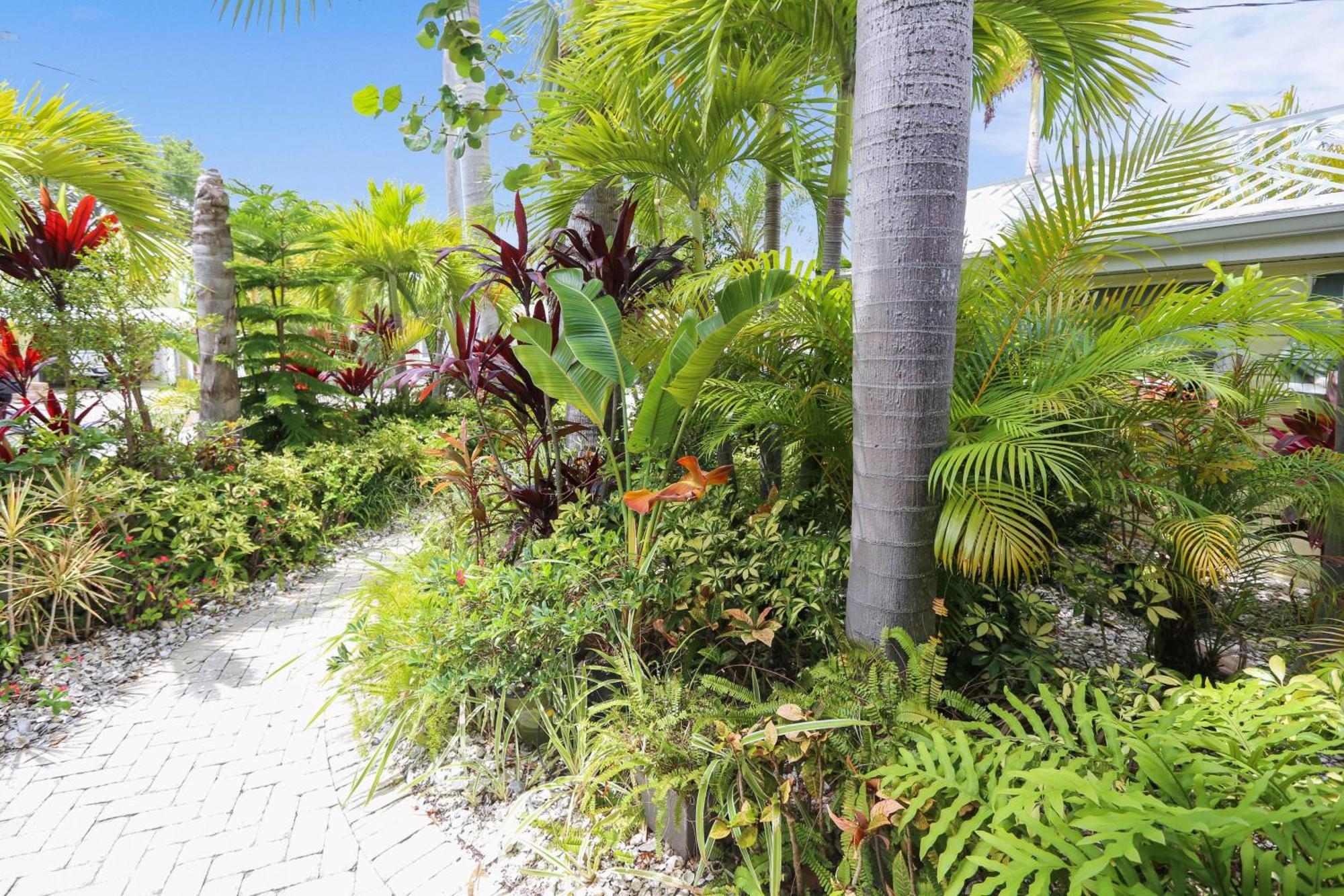 סיינט פיט ביץ' Coconut Paradise מראה חיצוני תמונה
